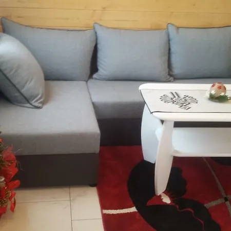 木屋 W Ogrodzie - Wypoczynek W Goralskim Klimacie, Sauna I Jacuzzi